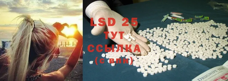 купить закладку  Североуральск  LSD-25 экстази ecstasy 